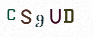 Visual Confirmation Security Code