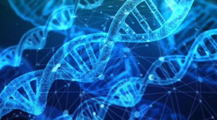 The Mechanics Of DNA Testing At Home