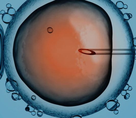 The Rise Of Reproductive Technology Amid Falling Fertility Rates