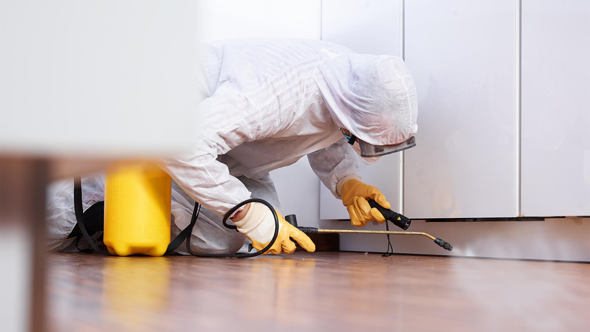 15-pest-control-facts-1702741728